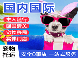 徐州机场快运国际宠物托运 【国